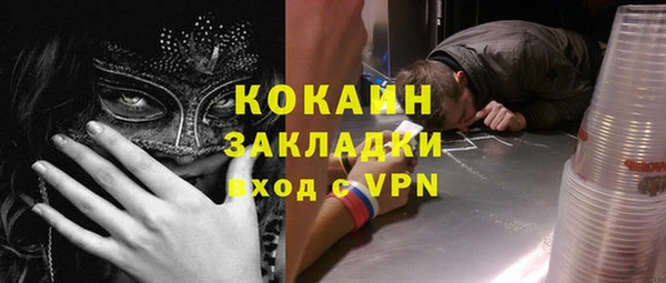 молекула духа Осташков