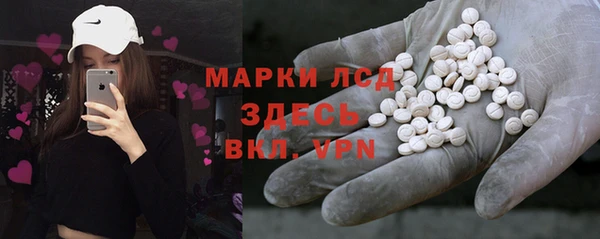 крисы Дедовск
