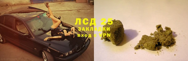 молекула духа Осташков