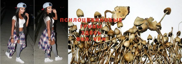 хмурый Краснотурьинск