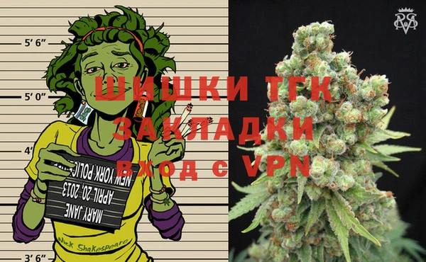молекула духа Осташков