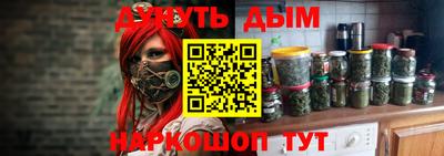 шишки Изобильный