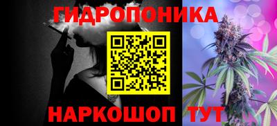 шишки Изобильный
