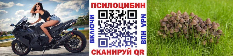 darknet состав  Кропоткин  Псилоцибиновые грибы GOLDEN TEACHER  blacksprut зеркало 