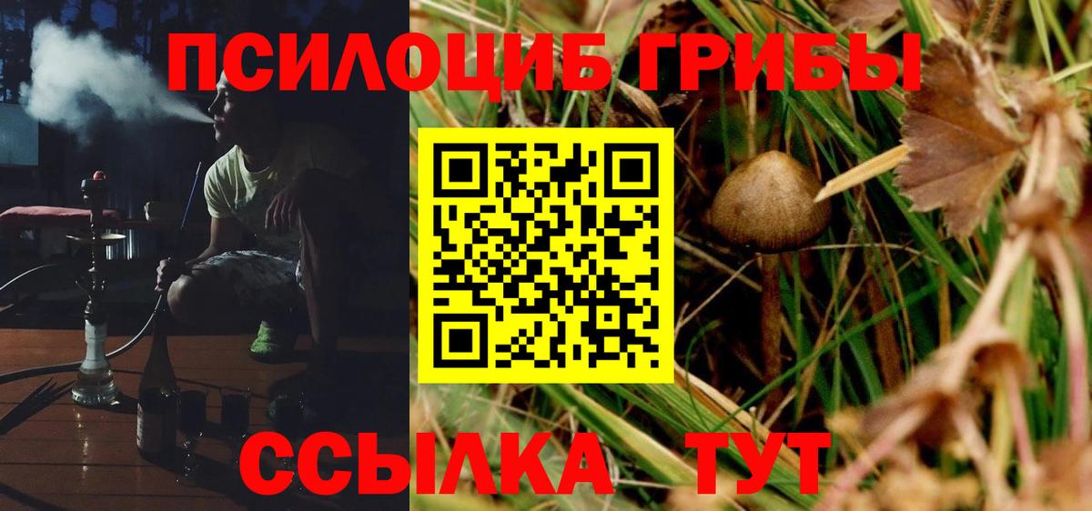 Псилоцибиновые грибы GOLDEN TEACHER  Вход с VPN  Кропоткин 